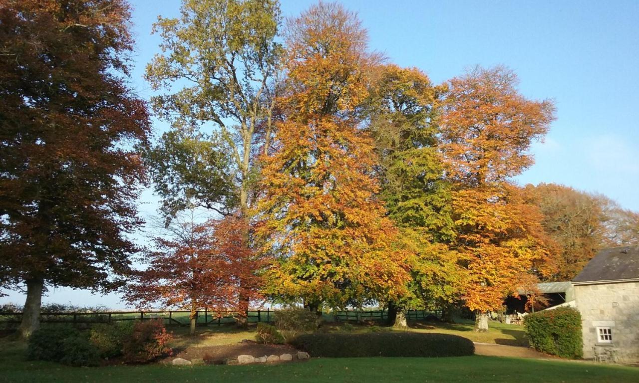 Lodge Courtyard Carlow